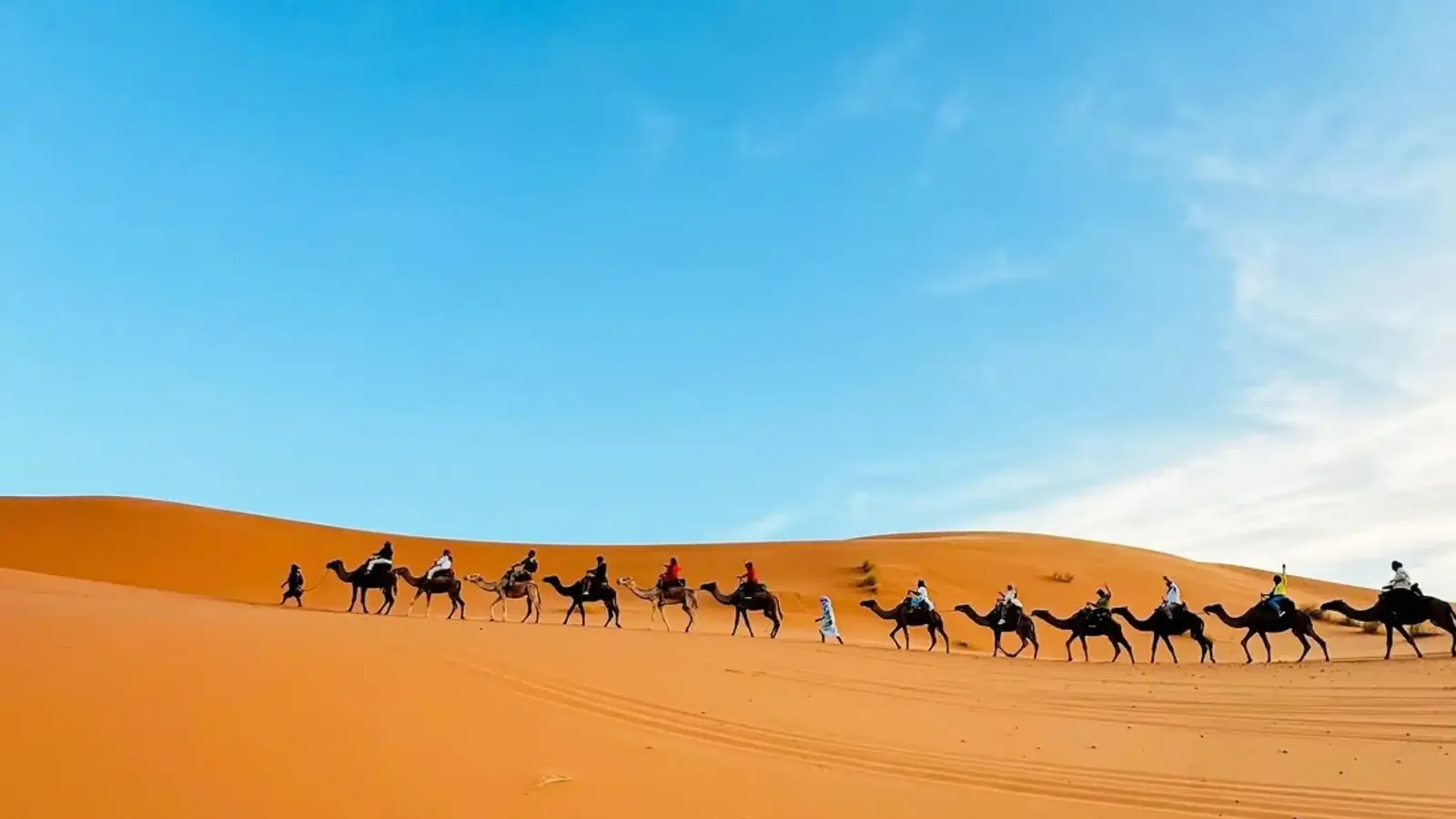 Students on a private Morocco desert tour at Erg Chebbi