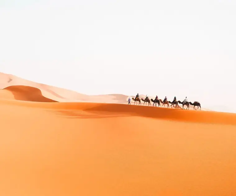 Best Morocco Travel Agency – Discover Morocco with Experts