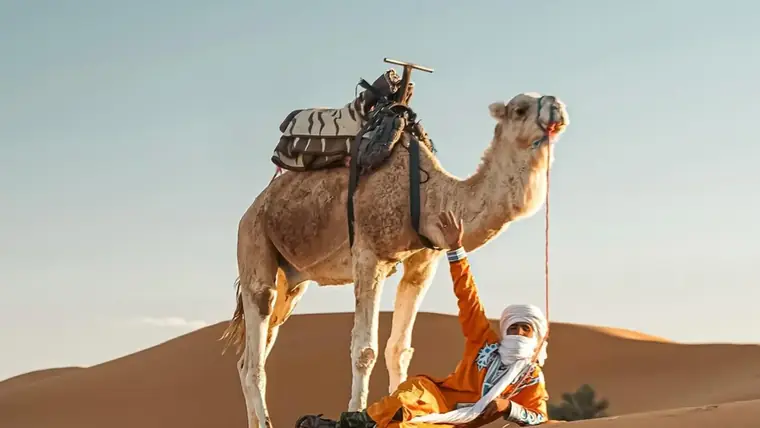 New Year in Morocco: The Ultimate Guide to Celebrating New Year’s Eve in Morocco