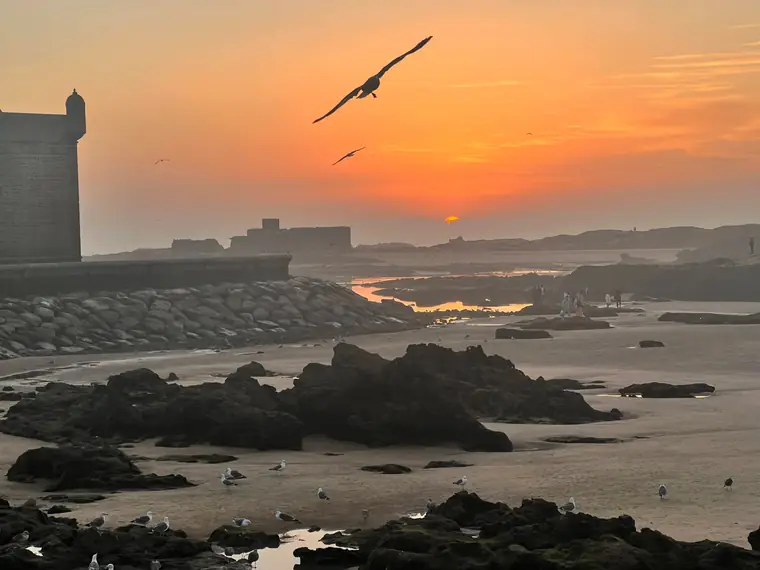 Day trip to Essaouira from Marrakech — photo