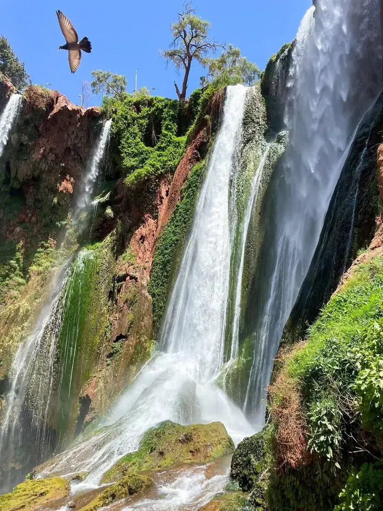 Marrakech to ouzoud waterfalls, best Marrakech day trip — photo