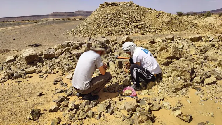 Fossil Exploration in Merzouga – Discover the Ancient Sahara — photo