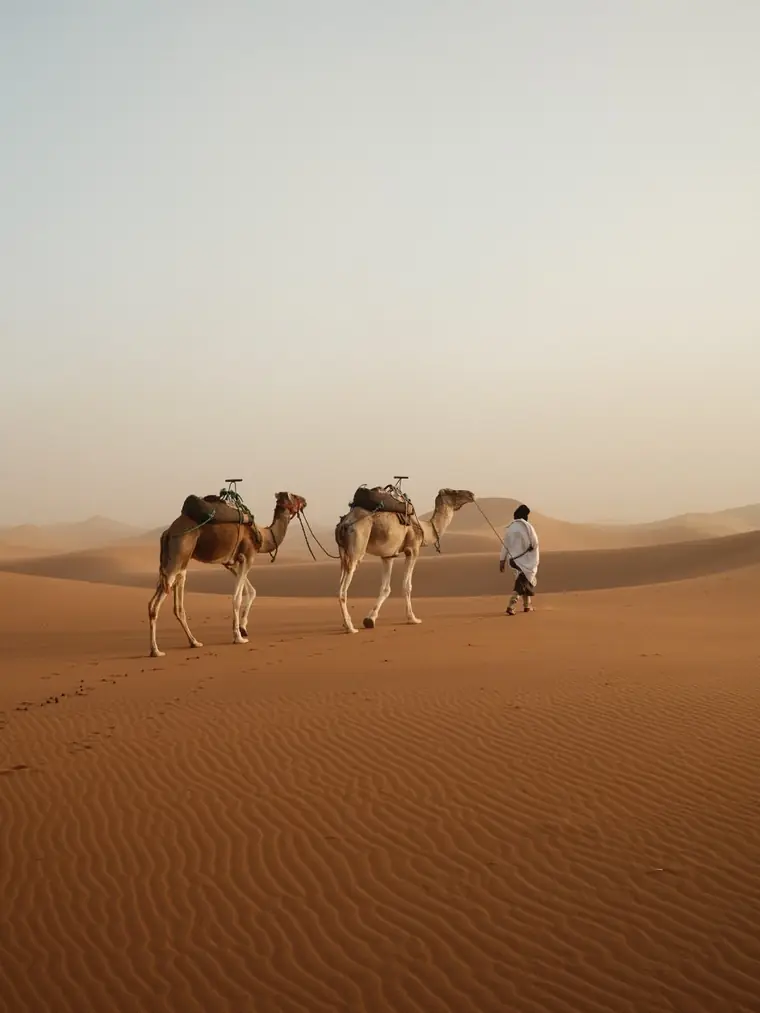 4-Day Desert Tour From Errachidia to Marrakech — photo 2