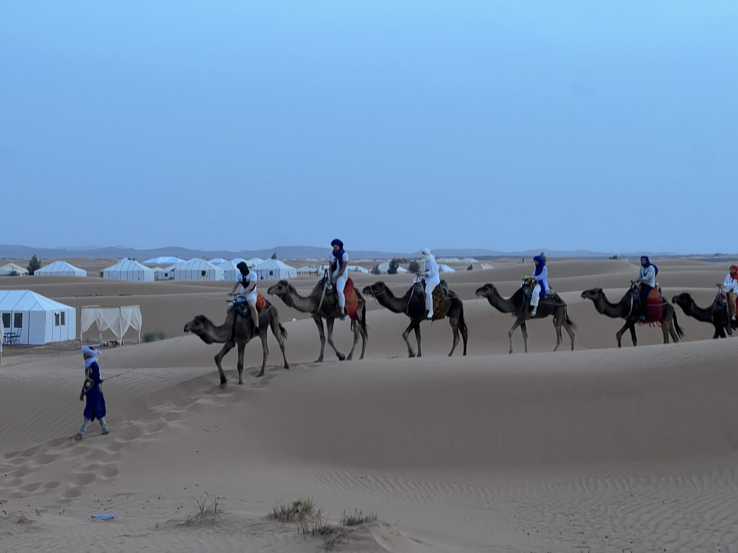 Camel Ride In Morocco