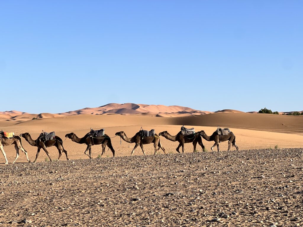 Semana Santa in morocco