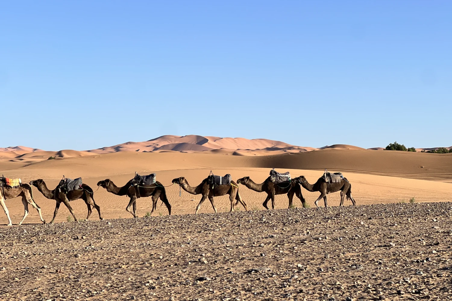 16 Days tour from Casablanca to Marrakech