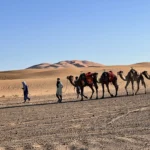 One-Week Morocco Itinerary