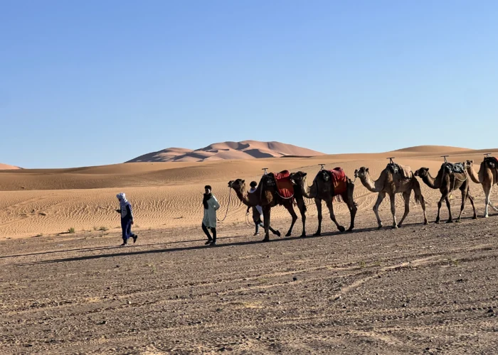 One-Week Morocco Itinerary