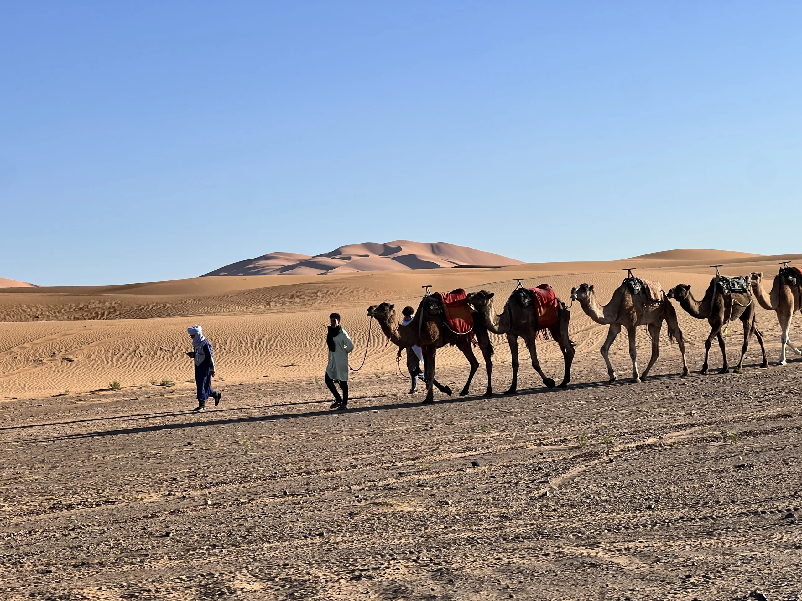 One-Week Morocco Itinerary