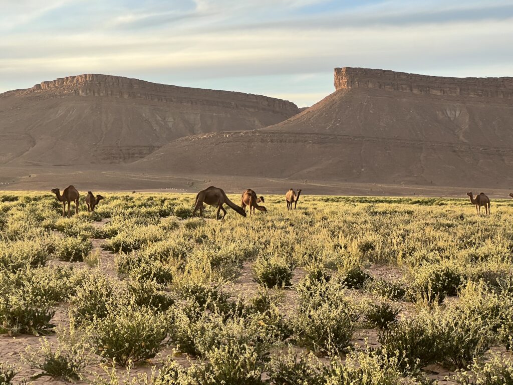 Holy week Tours in Morocco