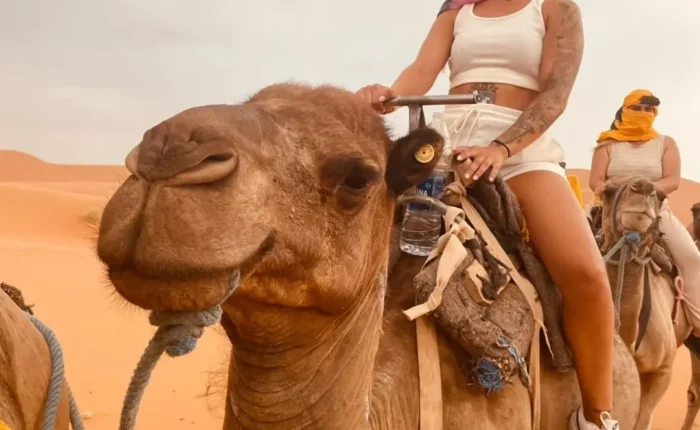 3 Days Desert tour from Marrakech to Fes