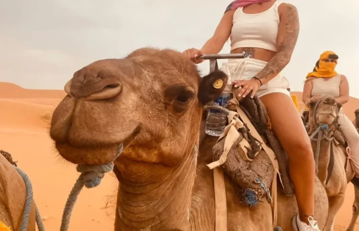 3 Days Desert tour from Marrakech to Fes