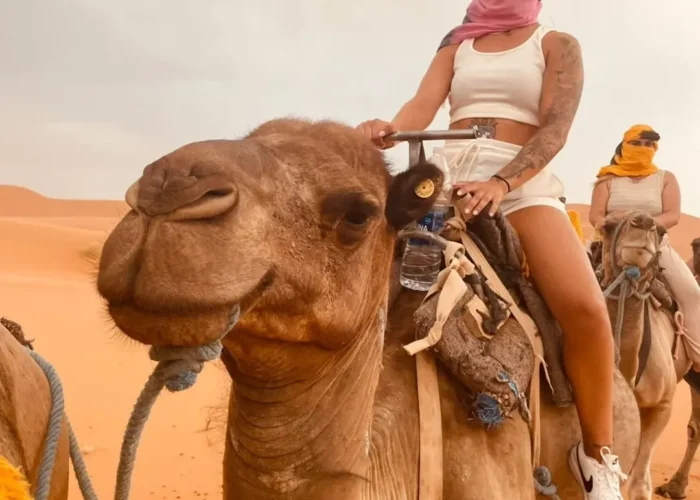 3 Days Desert tour from Marrakech to Fes