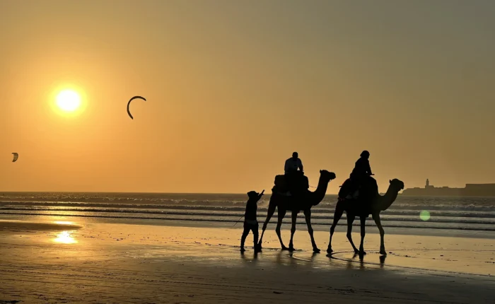 Day trip to Essaouira from Marrakech