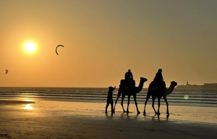 Day trip to Essaouira from Marrakech