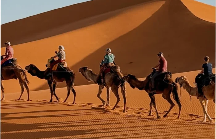 8 days Morocco itinerary 8 day Morocco tour itinerary Morocco 8 day tour 8 days Morocco travel plan 8 day Morocco itinerary from Marrakech 8 day Morocco private tour 8 days Morocco guided tour Morocco 8 days desert tour itinerary