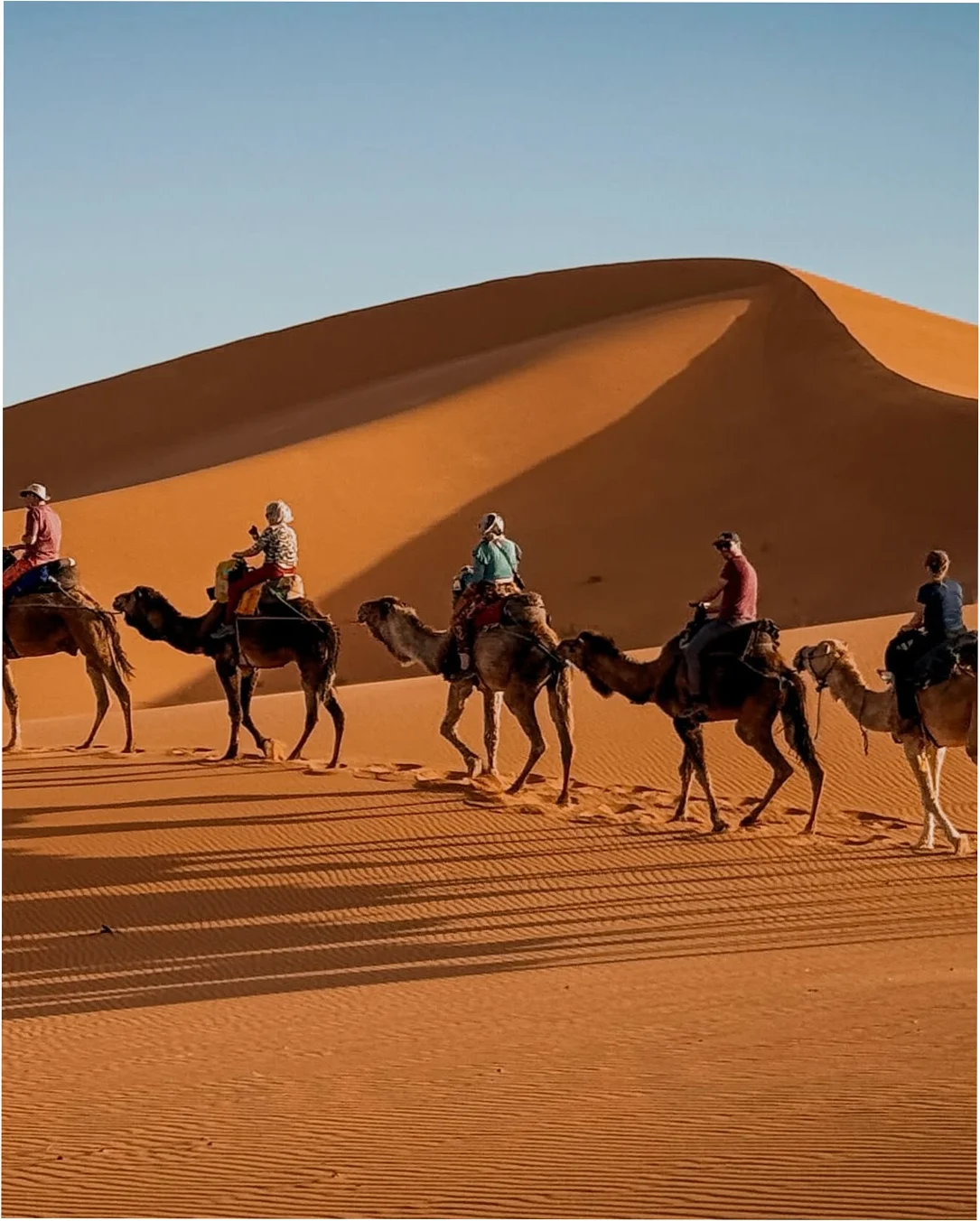 8 days Morocco itinerary 8 day Morocco tour itinerary Morocco 8 day tour 8 days Morocco travel plan 8 day Morocco itinerary from Marrakech 8 day Morocco private tour 8 days Morocco guided tour Morocco 8 days desert tour itinerary