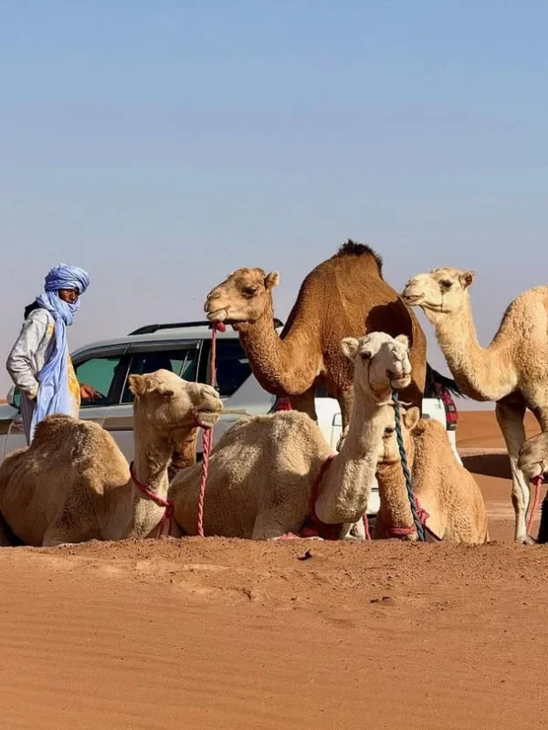 Morocco itinerary 5 days 5 day Morocco itinerary best 5 days in Morocco Morocco 5 day tour 5 day trip to Morocco what to do in Morocco in 5 days 5 days Morocco travel plan Morocco highlights in 5 days Morocco tour 5 days 5 day Morocco desert tour