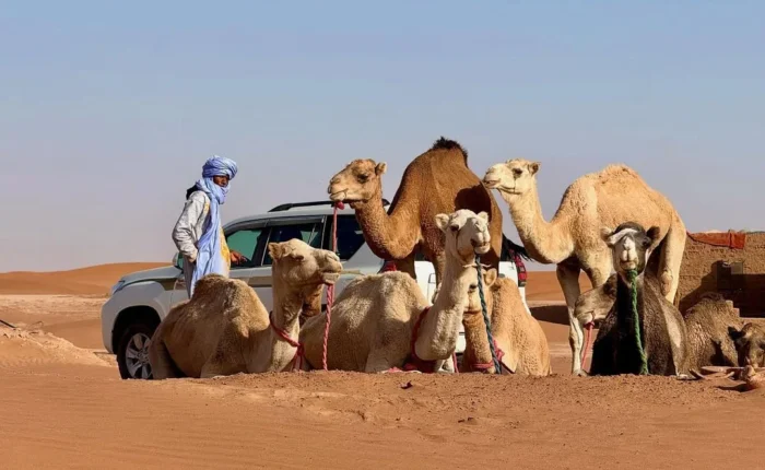 Morocco itinerary 5 days 5 day Morocco itinerary best 5 days in Morocco Morocco 5 day tour 5 day trip to Morocco what to do in Morocco in 5 days 5 days Morocco travel plan Morocco highlights in 5 days Morocco tour 5 days 5 day Morocco desert tour