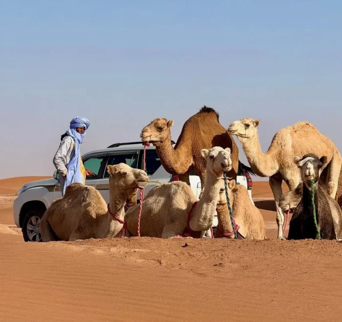 Morocco itinerary 5 days 5 day Morocco itinerary best 5 days in Morocco Morocco 5 day tour 5 day trip to Morocco what to do in Morocco in 5 days 5 days Morocco travel plan Morocco highlights in 5 days Morocco tour 5 days 5 day Morocco desert tour