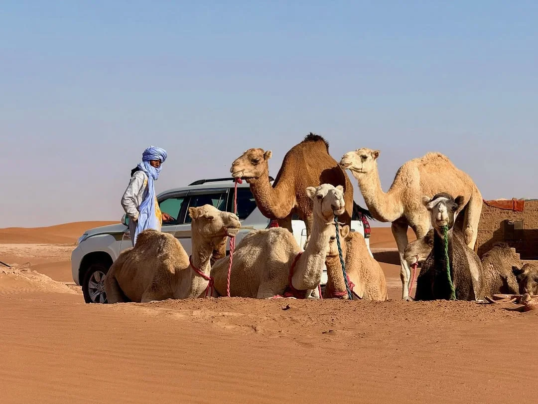 Morocco itinerary 5 days 5 day Morocco itinerary best 5 days in Morocco Morocco 5 day tour 5 day trip to Morocco what to do in Morocco in 5 days 5 days Morocco travel plan Morocco highlights in 5 days Morocco tour 5 days 5 day Morocco desert tour
