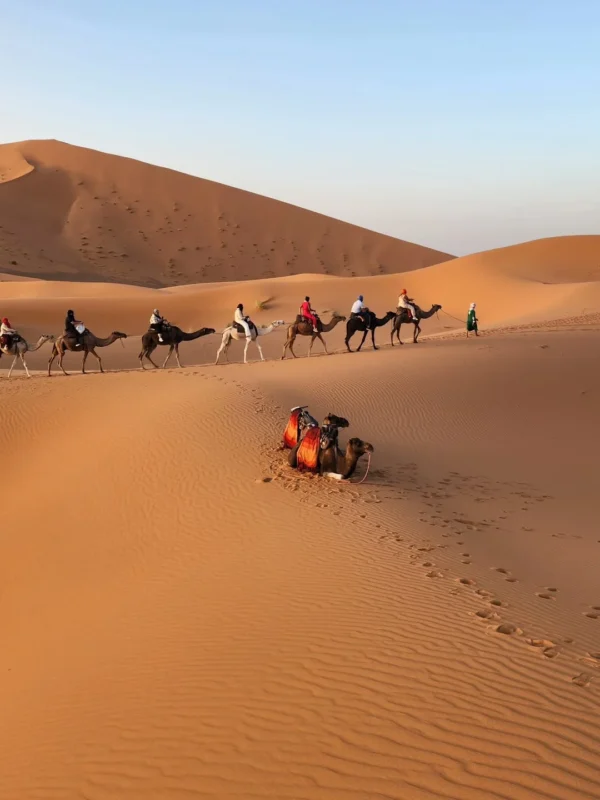 4-Day Desert Tour From Errachidia to Marrakech