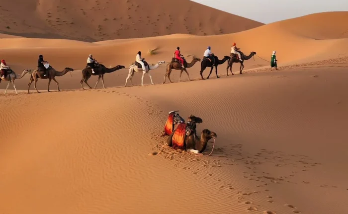 4-Day Desert Tour From Errachidia to Marrakech