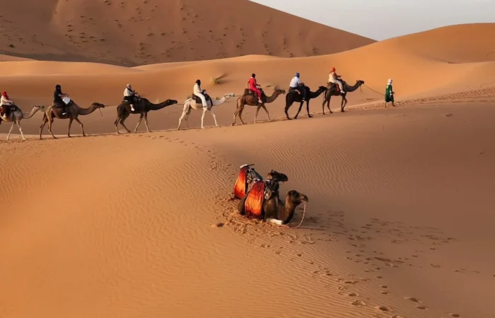 4-Day Desert Tour From Errachidia to Marrakech