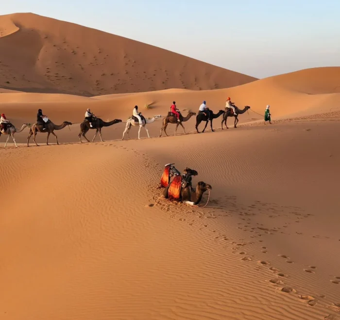 4-Day Desert Tour From Errachidia to Marrakech