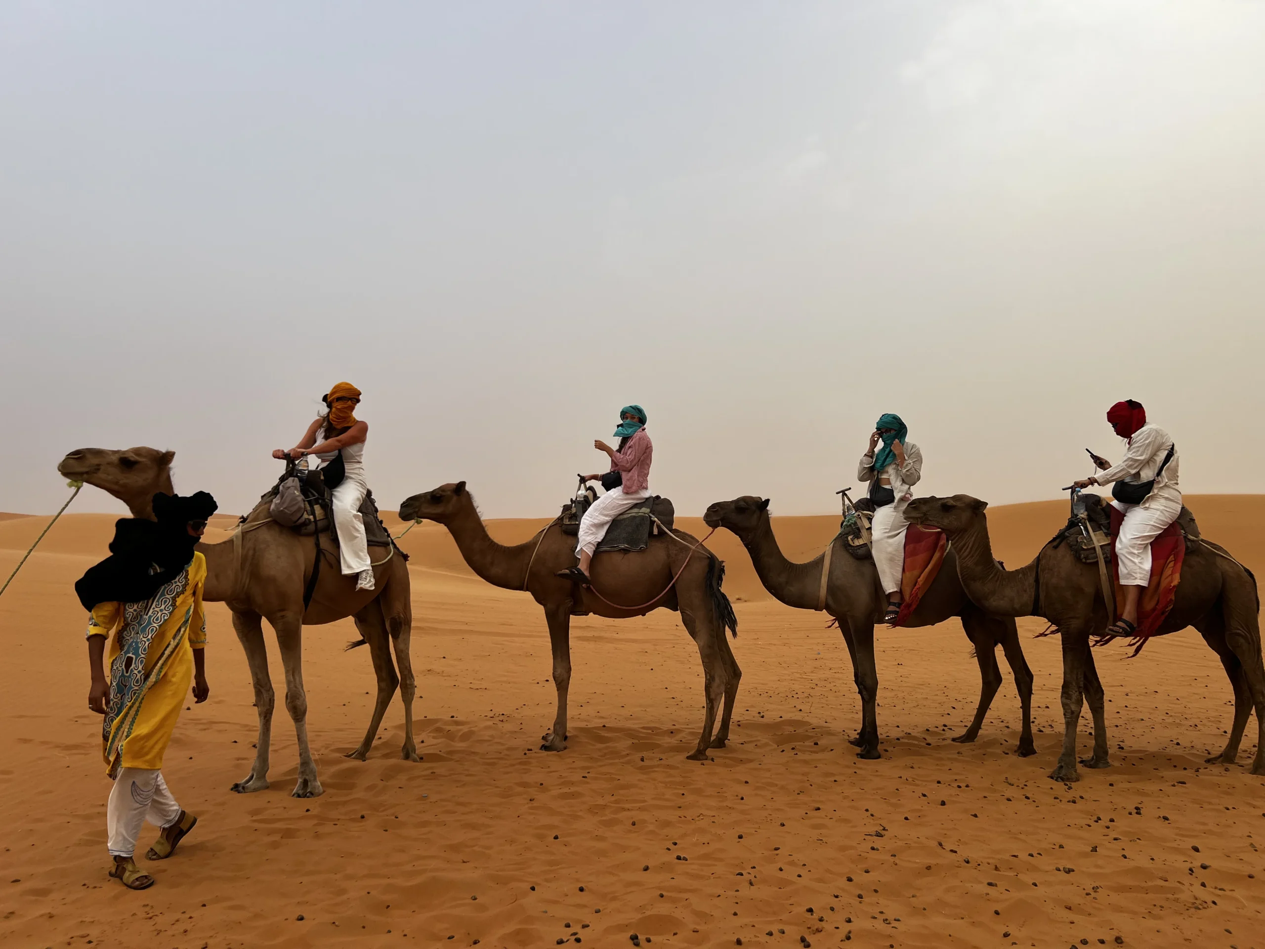 Camel caravan crossing the Sahara Desert dunes in Merzouga, Morocco