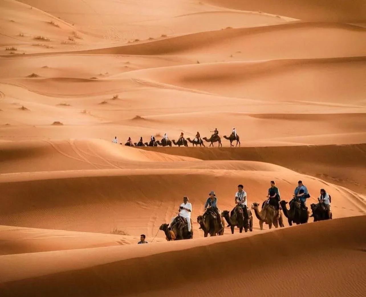 Merzouga Desert Morocco with golden Erg Chebbi sand dunes at sunset