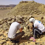 Ancient fossils found in the desert near Merzouga