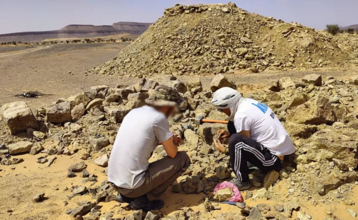 Ancient fossils found in the desert near Merzouga