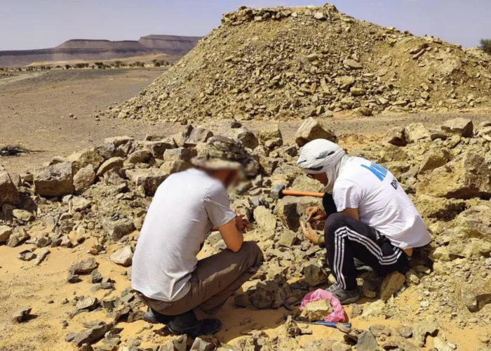 Ancient fossils found in the desert near Merzouga