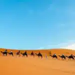 3 Day Morocco Student Tour from Marrakech to Merzoug