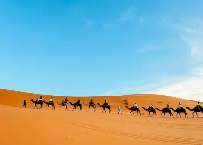 3 Day Morocco Student Tour from Marrakech to Merzoug